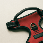 Close-up of the top handle and the lead ring on the back of the dog harness