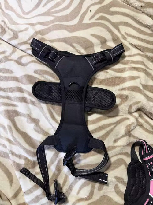 The black harness seen from the back, showing the top handle