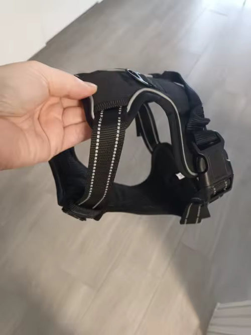 The black harness held up in one hand, showing its shape and side buckle