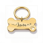 Engraved stainless steel dog tag on a white background with a split ring and an S-hook