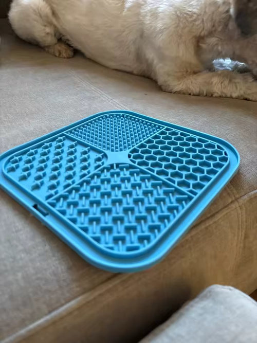 The blue lick mat on a sofa with a dog resting behind it, showing all four groove patterns