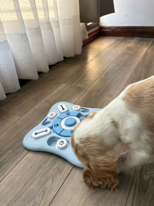 A cocker spaniel working the blue puzzle feeder on a wooden floor in daylight