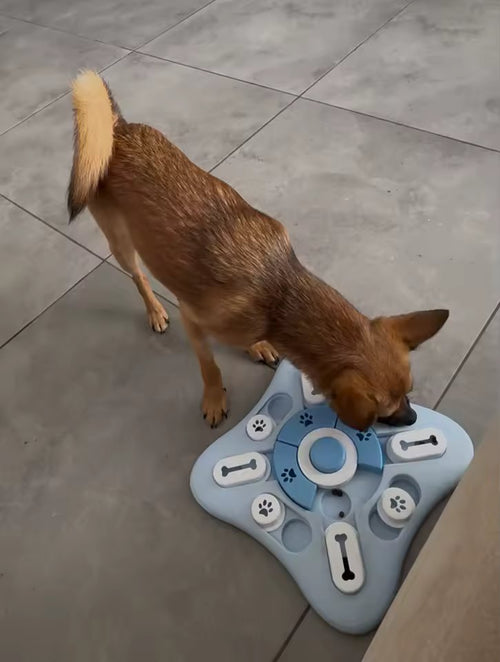 A small tan dog nosing open one of the sliding lids on the blue puzzle feeder