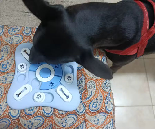 A black dog working the blue puzzle feeder, showing the sliding lids and spinning centre