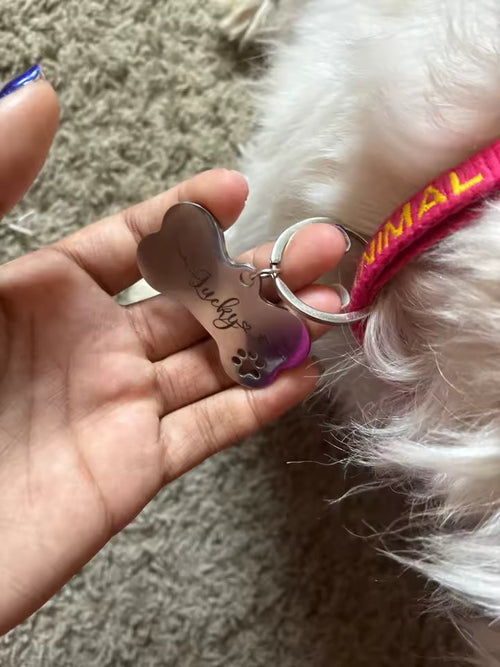 An engraved dog tag on its split ring next to a dog's collar