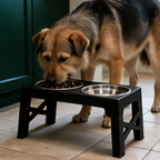 Medium-sized dog eating from the raised bowl stand set to shoulder height